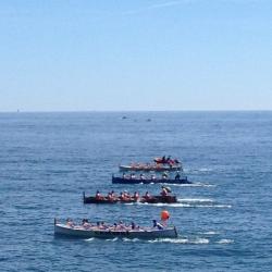 aquesta setmana #recomanem